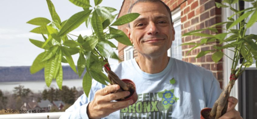 Chcieć to móc - nauczyciel z ubogiej dzielnicy Bronxu wraz z uczniami zmienia otoczenie przez uprawę roślin