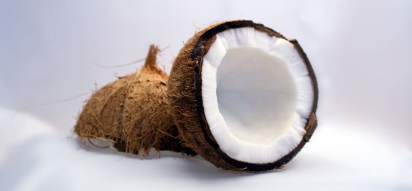 Olej kokosowy w kuchni - przepis na wegetariański smalec ziołowy