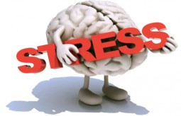 Szkodliwe skutki przewlekłego stresu