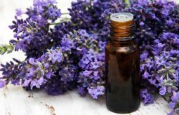 Aromaterapia - zalety, działanie i przeciwwskazania. Jakie olejki wybrać?
