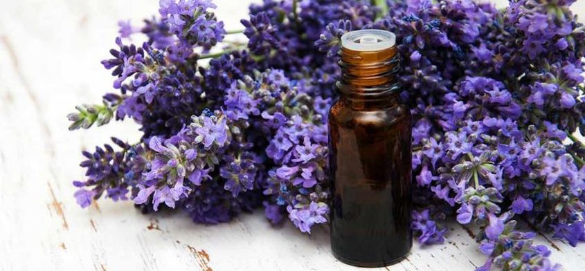 Aromaterapia - zalety, działanie i przeciwwskazania. Jakie olejki wybrać?